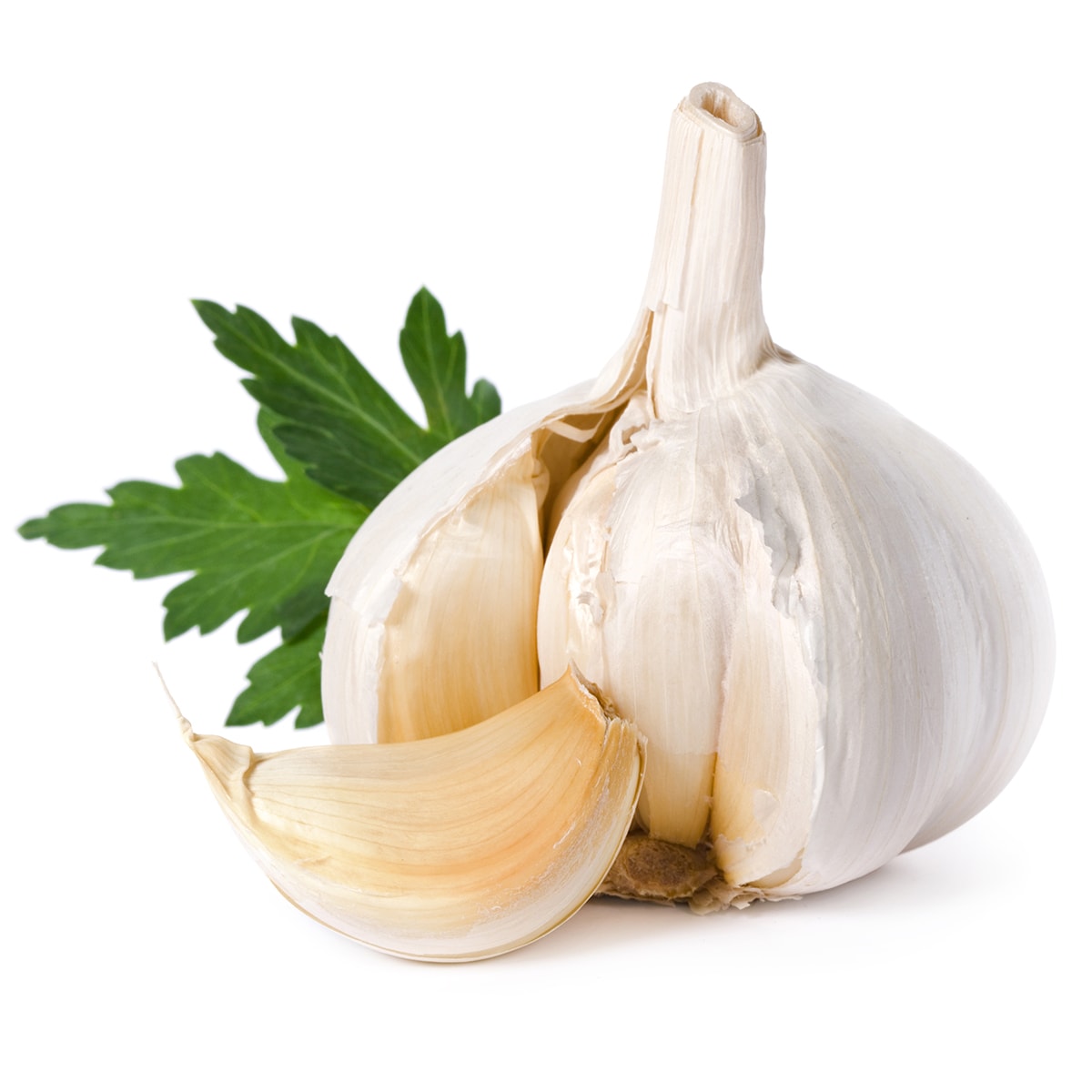 garlic isolated on white background