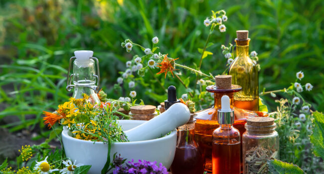 Medicinal herbs and tinctures alternative medicine. Selective focus. Nature.